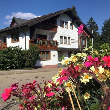 Haus Seiler Apartment Freudenstadt Exterior photo